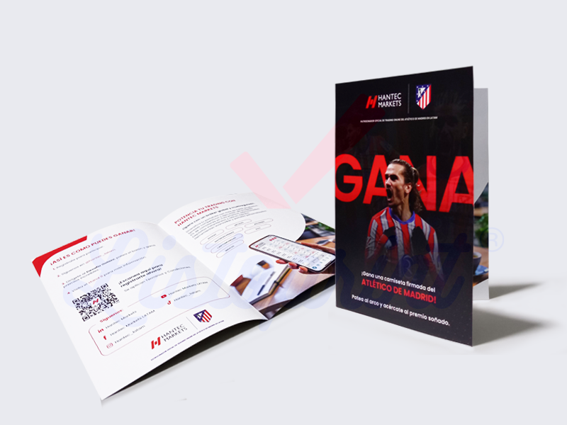 Brochures Corporativos